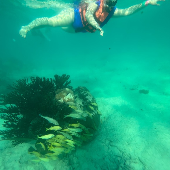 Meet your Posher, Kate - Picture 1 of 1